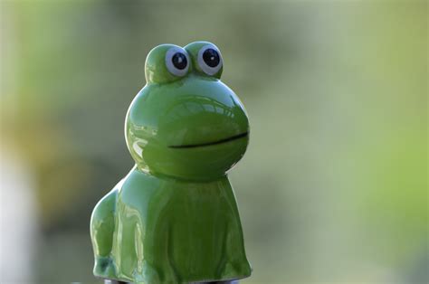 Free Images Ceramic Amphibian Fauna Deco Tree Frog Close Up