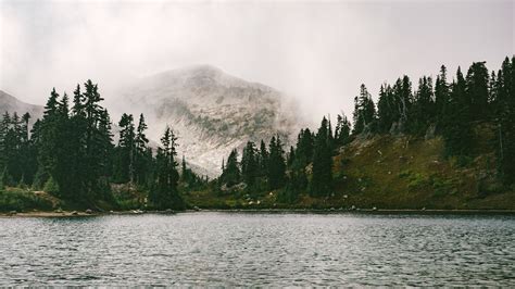 Free Images Landscape Tree Nature Forest Wilderness Cloud Mist