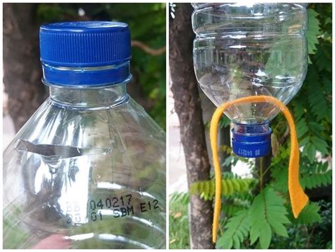 Cara Mudah Membuat Tanaman Hidroponik Dalam Botol Hijaukan Rumah