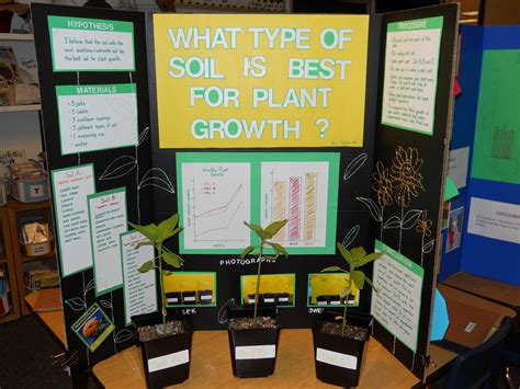 Science Fair Project Ideas For 8th Graders
