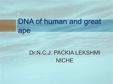 Dna Of Human And Great Ape Ppt