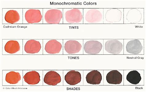 Monochromatic Color Scheme Tips And Tricks One Is Not A