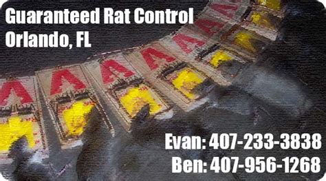 Savesave do it yourself pest control guide for later. Orlando Pest Control & Rat Removal Company