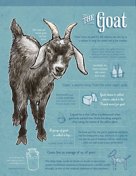 10 Best Goat Care Images In 2020 Goat Care Raising Goats Goats