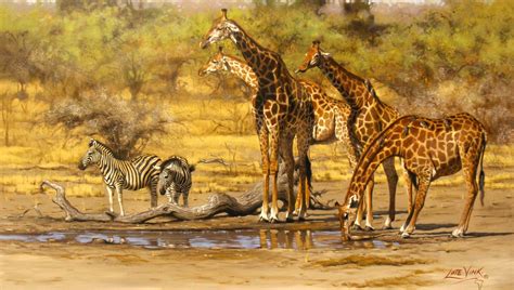 They can be seen in museums in paris and london and the two white stripes of fur from the ears to the snout are really pretty. Wildlife paintings | Wildlife paintings, Africa art