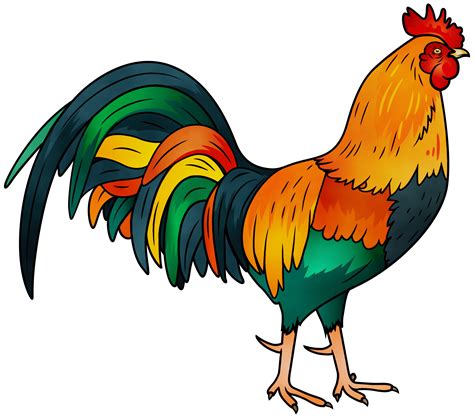 Rooster Chicken Adhan Pet Animal Png Download 30002650 Free