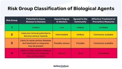 Types Of Biological Hazards And Their Risk Groups Safetyculture