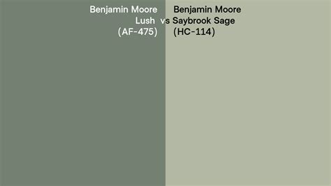 Benjamin Moore Lush Vs Saybrook Sage Side By Side Comparison