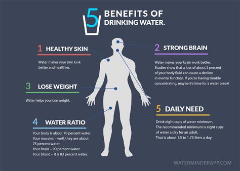 Benefits Of Drinking Water Infographic Hydration Tips 48018 Hot Sex