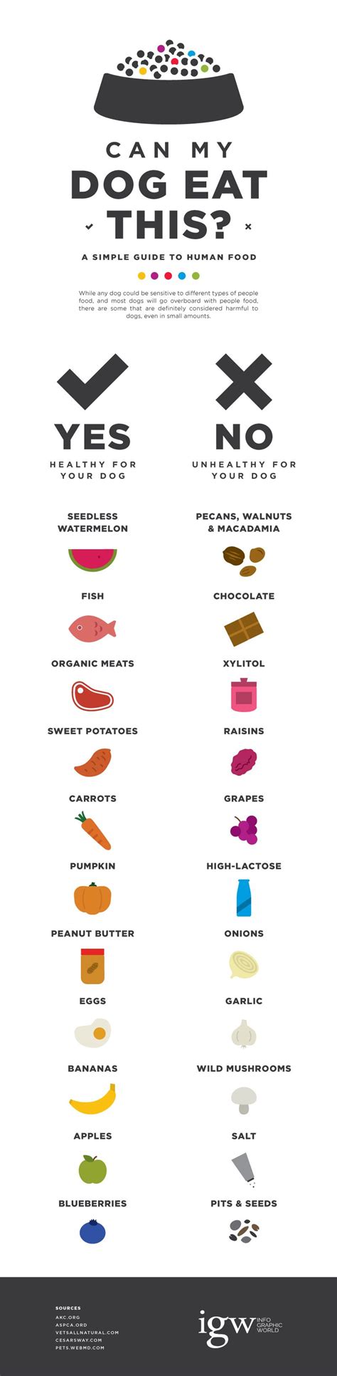Maybe you would like to learn more about one of these? Can my #dog eat this? A simple guide to human food. | Dog ...