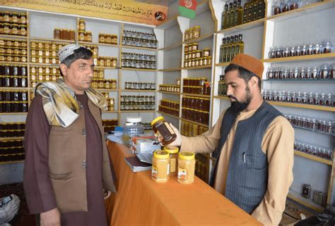 Kandahar Honey Harvest Reaches 16 Tons This Year Pajhwok Afghan News