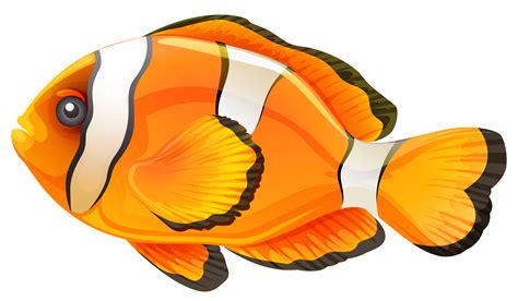Clownfish Cartoon Clown Fish Clipart 2esurd Wikiclipart