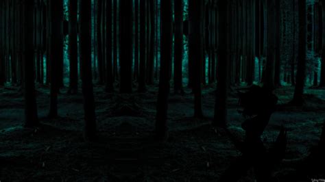 🔥 Download Dark Forest Wallpaper By Vbell69 Dark Forest Backgrounds