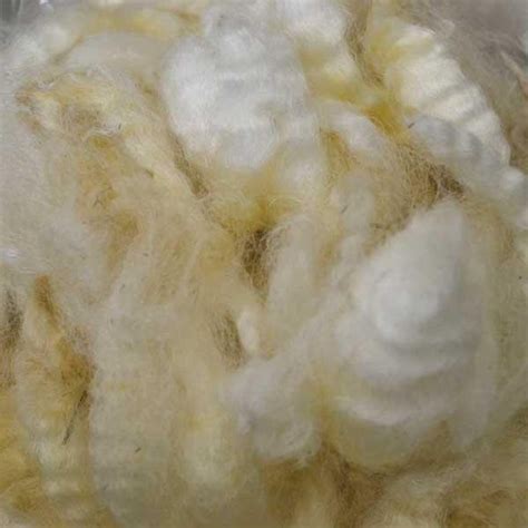 White Coopworth Lamb Fleece The Woolery