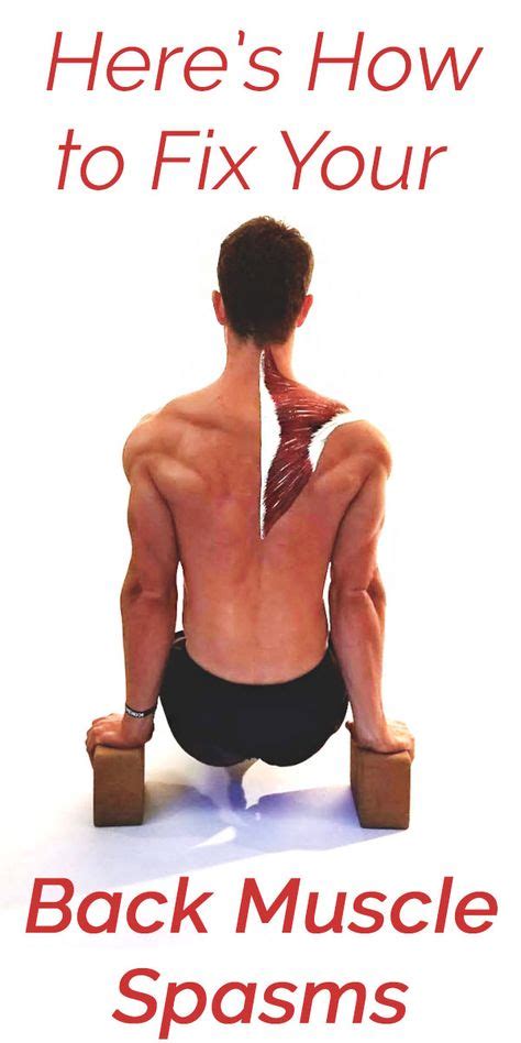 Here Is How To Fix Your Back Muscle Spasms Back Muscles Muscle