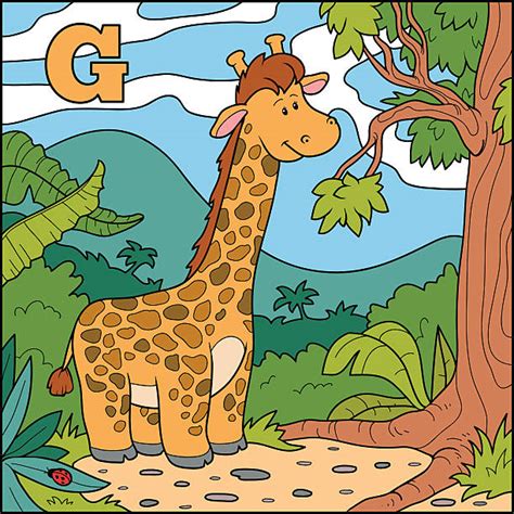 Animal Alphabet Letter G For Giraffe Illustrations Royalty Free Vector