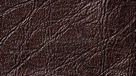 Natural Dark Brown Leather Texture Stock Photo Image Of Patterned