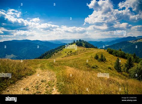 Beautiful Mountain Landscape In The Summer Carpathian Mountains
