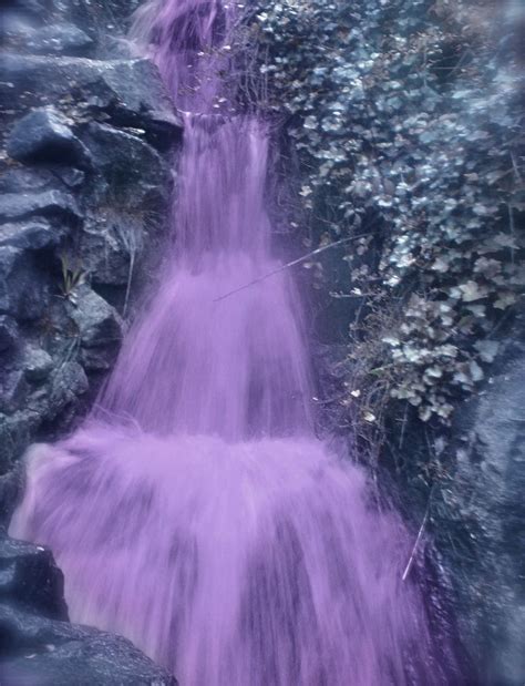 Purple Waterfall Purple Haze Purple