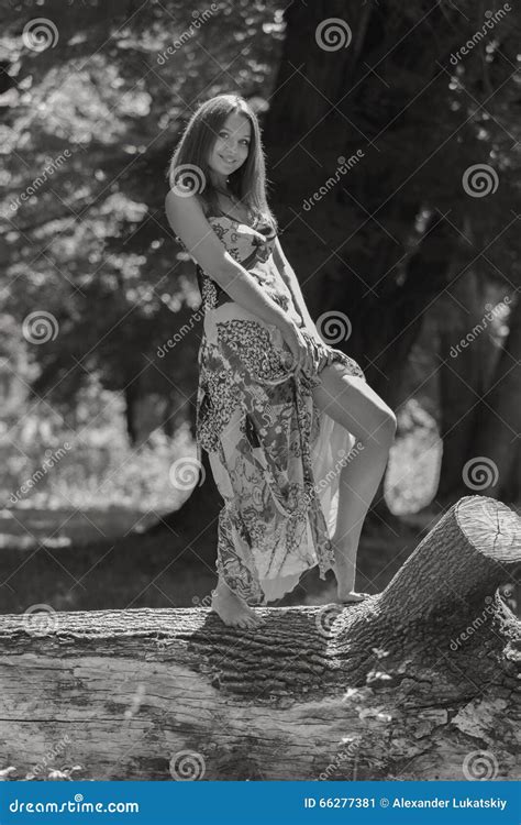 Beautiful Young Girl In The Park Stock Image Image Of Healthy Cute