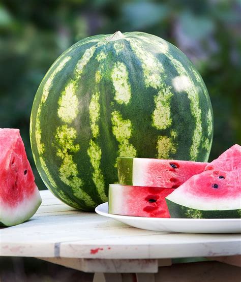 Classic large watermelon with excellent flavor and texture. 117 best images about WATERMELON COTTAGE on Pinterest