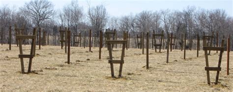 Such a device can be purchased at specialized points of sale or do it yourself. blackberry trellis systems | Enter Your Email ...