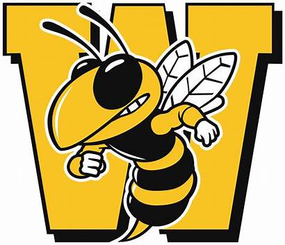 Bee Wasatch Sports Basketball Wasps Clipart Bonneville