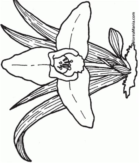 Dibujo para imprimir, pintar y colorear de monja blanca 2 de flores. Imagenes De Monjas Para Colorear