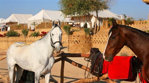 horse riding  rajasthan india experiences transindus