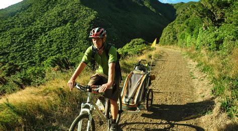 Remutaka Rail Trail Cycle Tour From Wellington 2023 Ph