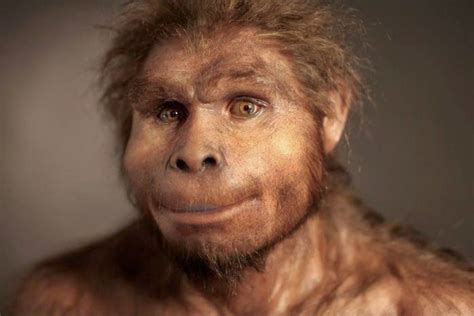 Hominid Reconstructions Are A Blast From The Past 16 Pics Hominid