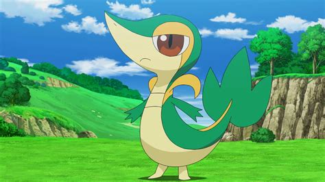 14 Facts About Snivy