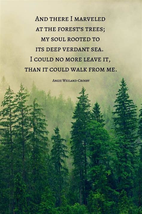 Nature Quotes For The Wandering Soul Nature Quotes Inspirational