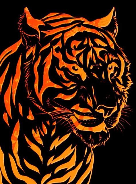 Beautiful Abstract Tiger Wallpapers Top Free Beautiful Abstract Tiger