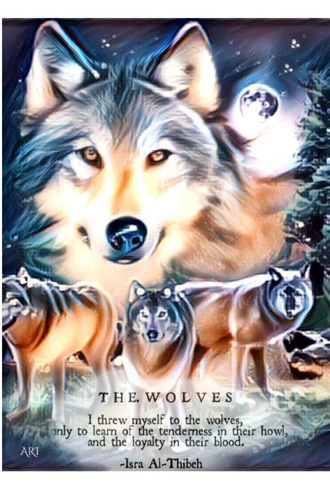 Pin By Sarah Fillman On Wolf Wolf Pictures Wolf Spirit Animal Wolf