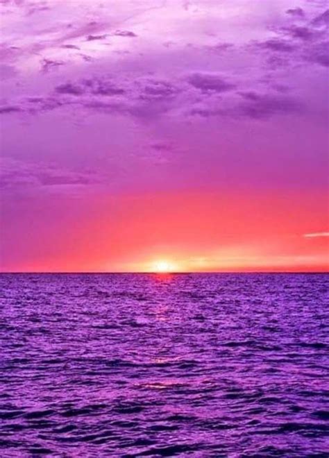 Purple Ocean Beautiful Nature Beautiful