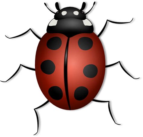 Lady Bug Clip Art At Vector Clip Art Online