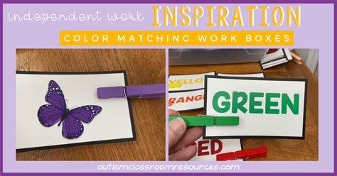 Fun Color Matching Task With Clothespins Easy Way To Build Your Work