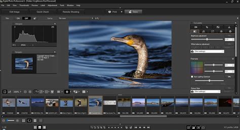 Canon Digital Photo Professional 4 Download Mac