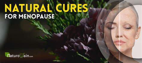 13 menopause natural cures treat menopausal symptoms [naturally]