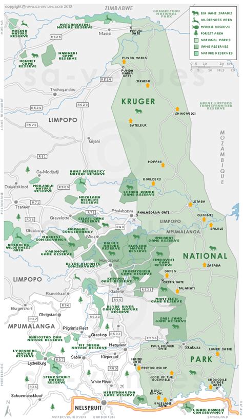 Kruger National Park 2020