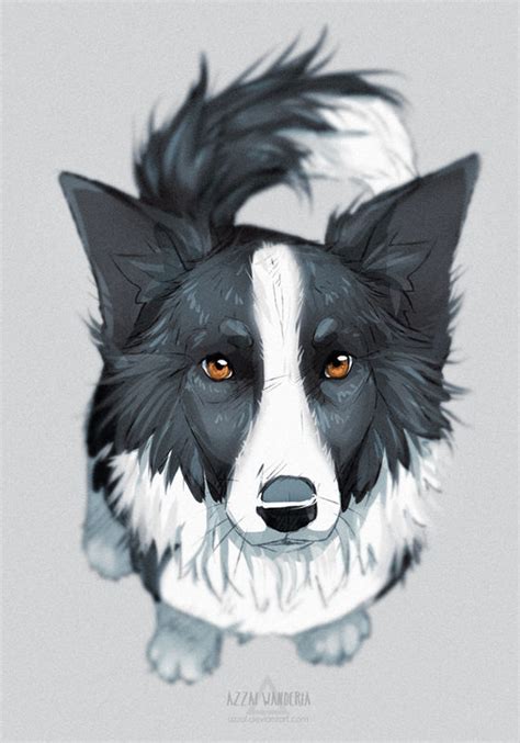 Border Collie Sketch By Azzai On Deviantart