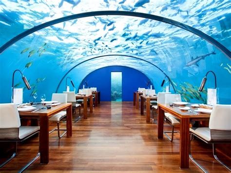 5 Underwater Restaurants In Maldives You Cant Miss