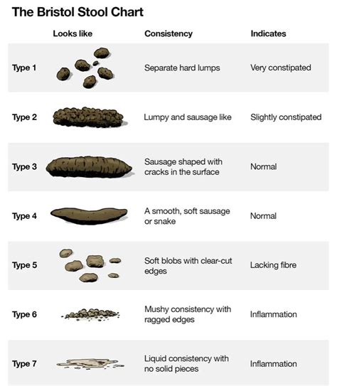 Textures Of Poop And What They Mean Bristol Stool Chart Ph