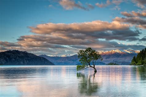 Nature Landscape Trees Lake Wanaka New Zealand Lake Clouds