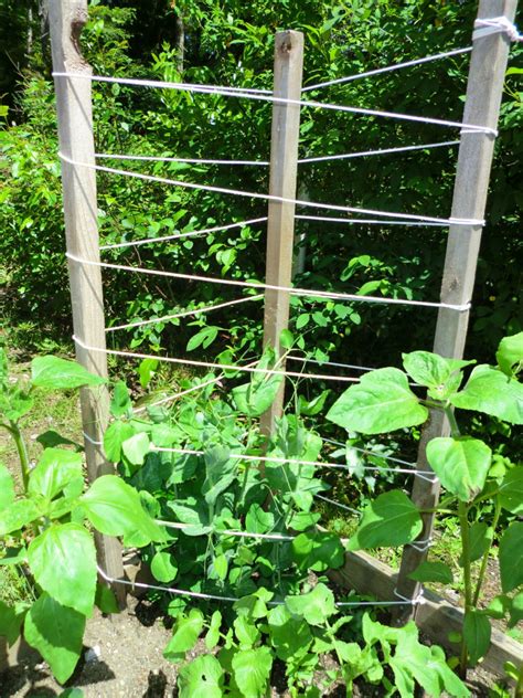 Create a diy bean trellis that will be easy to move from season to season. Making a Garden Trellis | ThriftyFun