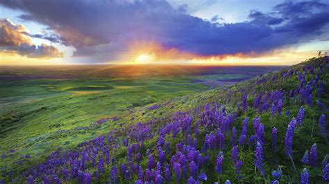 Texas Hill Country Wallpaper (56+ images)