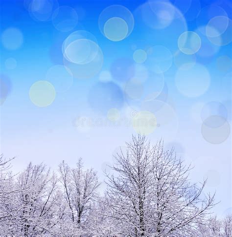Winter Christmas Background Stock Image Image Of Ornament Celebrate