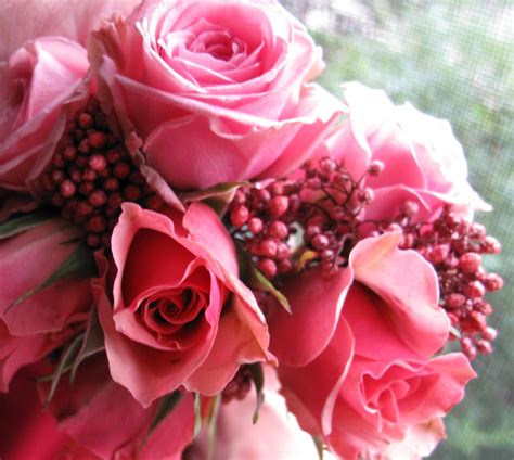 Beautiful Roses For A Friend Beautiful Roses Beautiful People Hearts
