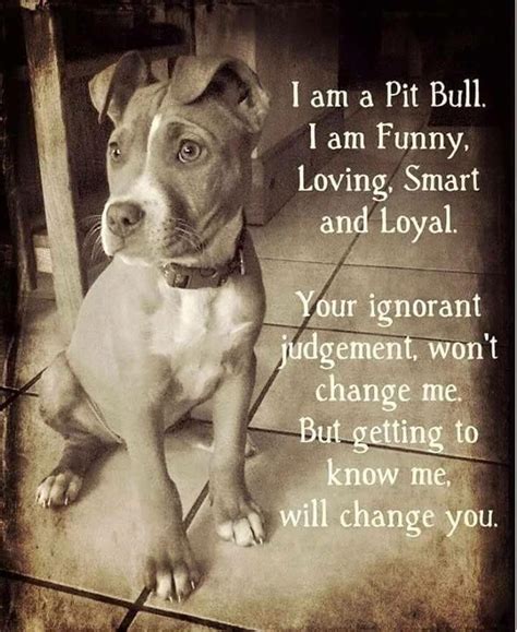 Truth Pitbullquotes Pitbulls Pitbull Terrier Pitbull Quotes